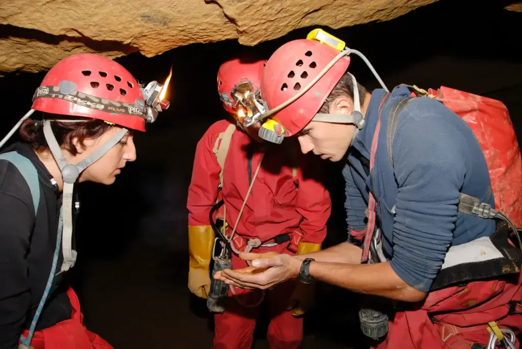 Observation de faune troglobie dans la grotte